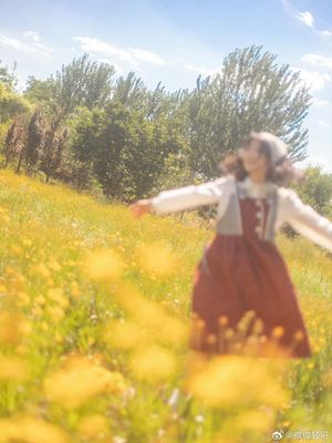 一位穿着红裙子的年轻女子张开双臂穿越一片黄花的草地。