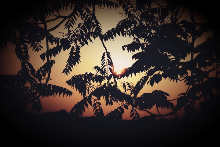缝隙中的夕阳