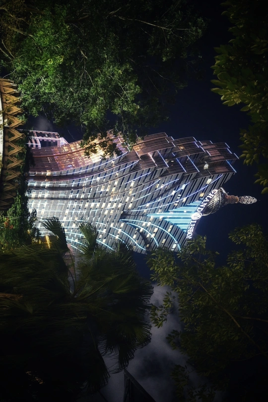 夜晚被树木环绕的建筑物亮了起来