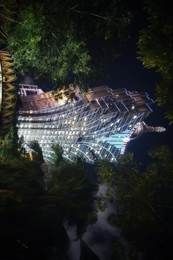 夜晚被树木环绕的建筑物亮了起来