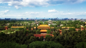 森林中的大型建筑