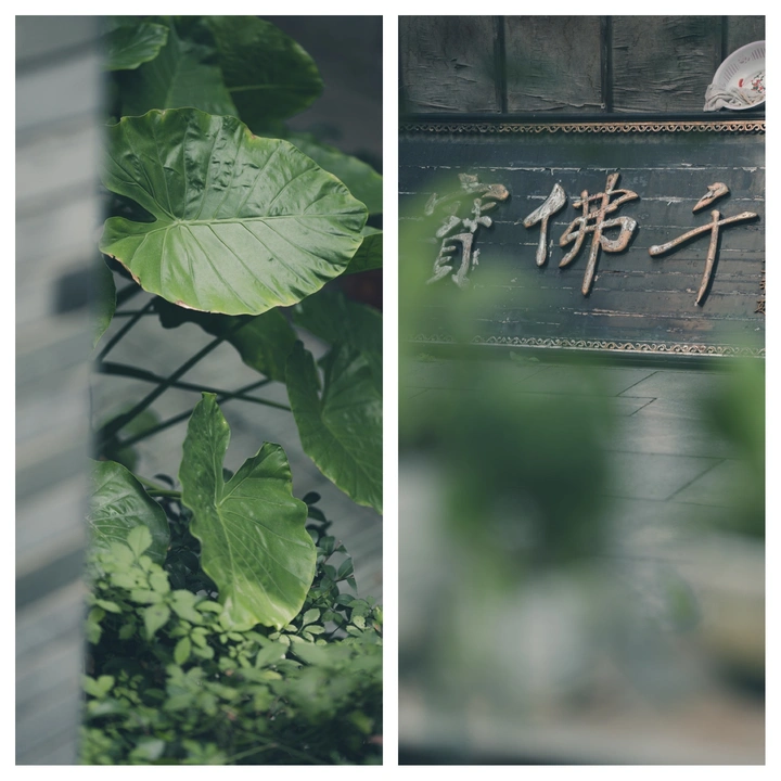 莲溪寺