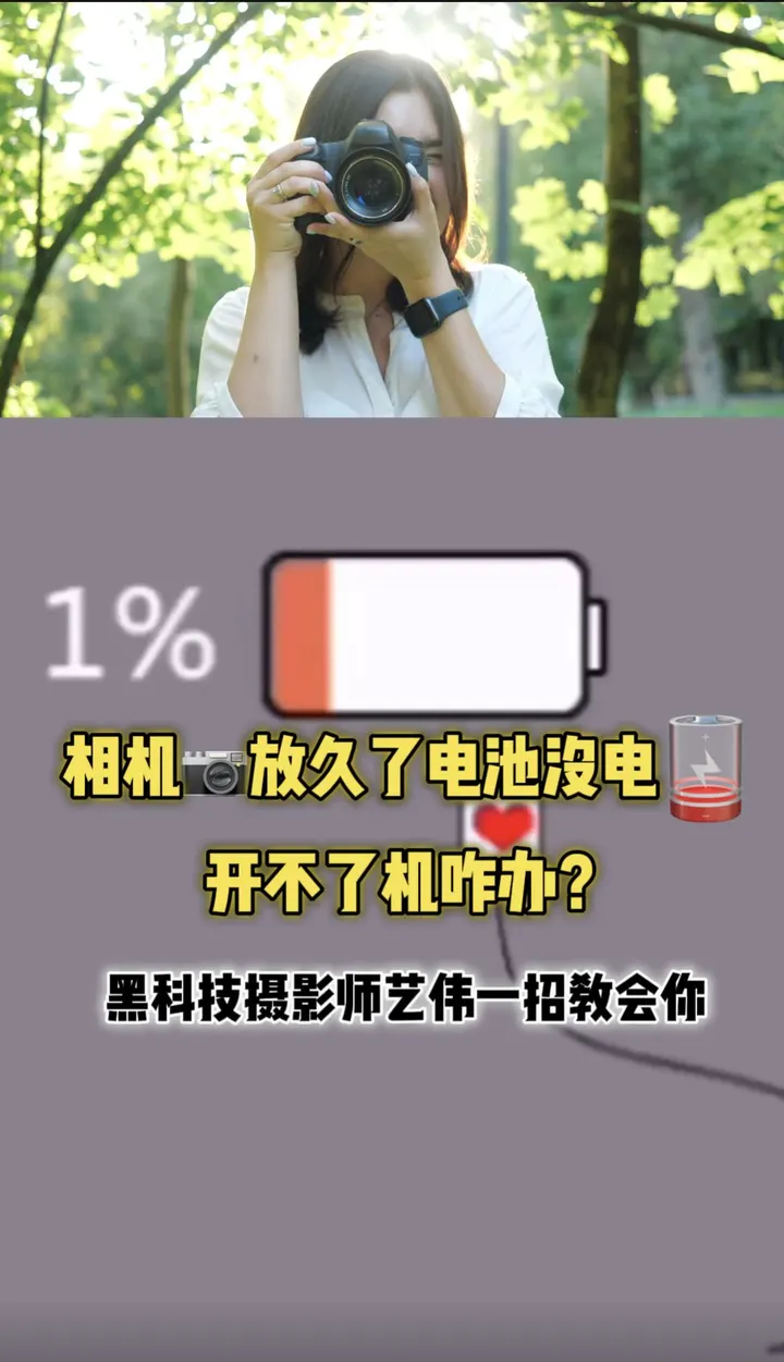 相机放久了电池充不进电开不机