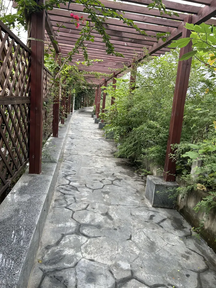 怀念