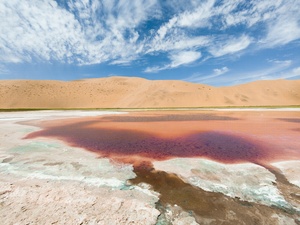 智利的阿塔卡马沙漠中一幅多彩的景观 湖中是红色的和粉色的水 天空中是蓝色的。