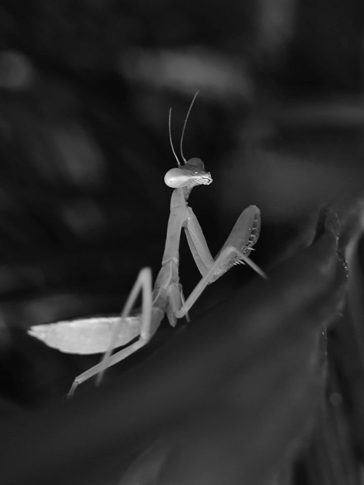 回眸