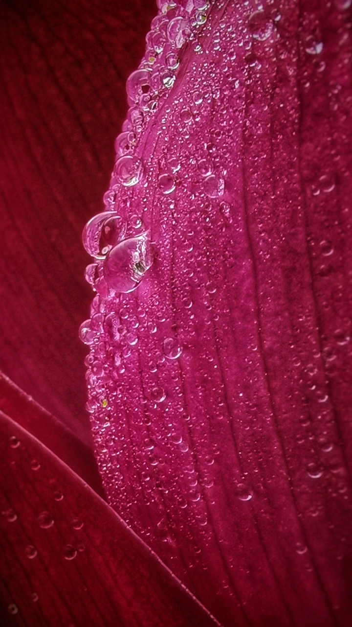雨露均沾