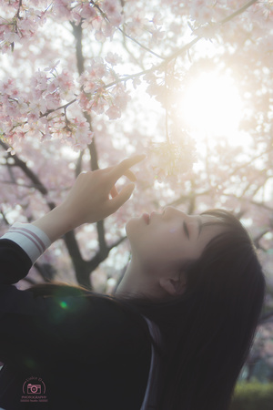 一个享受阳光和樱花的年轻女子