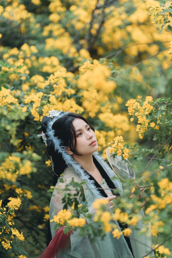 黄花2