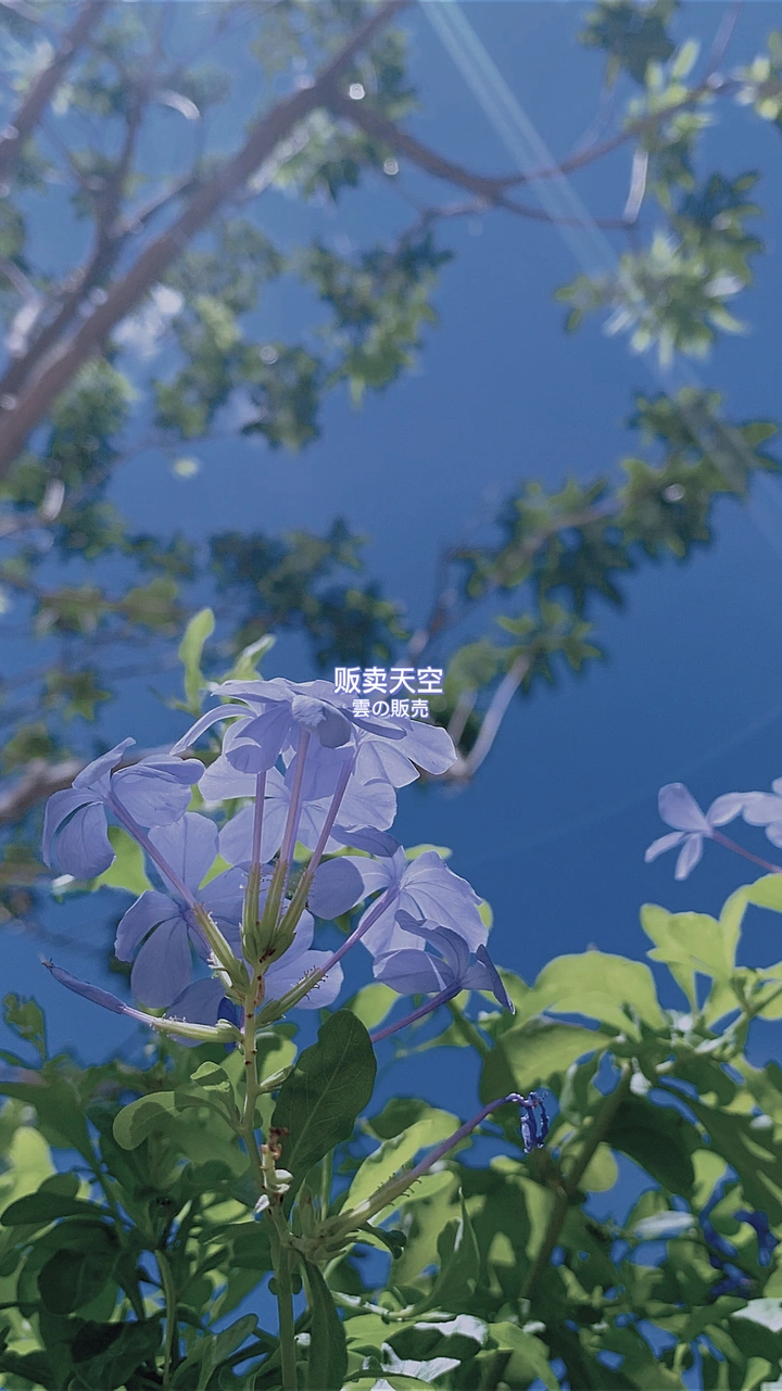 深圳的天空