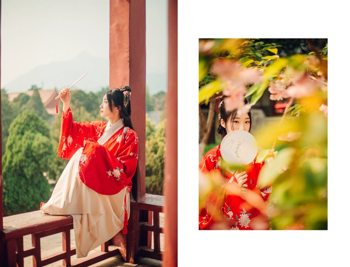 🍃清扬婉兮
