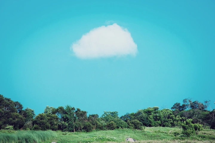 靠海吃海