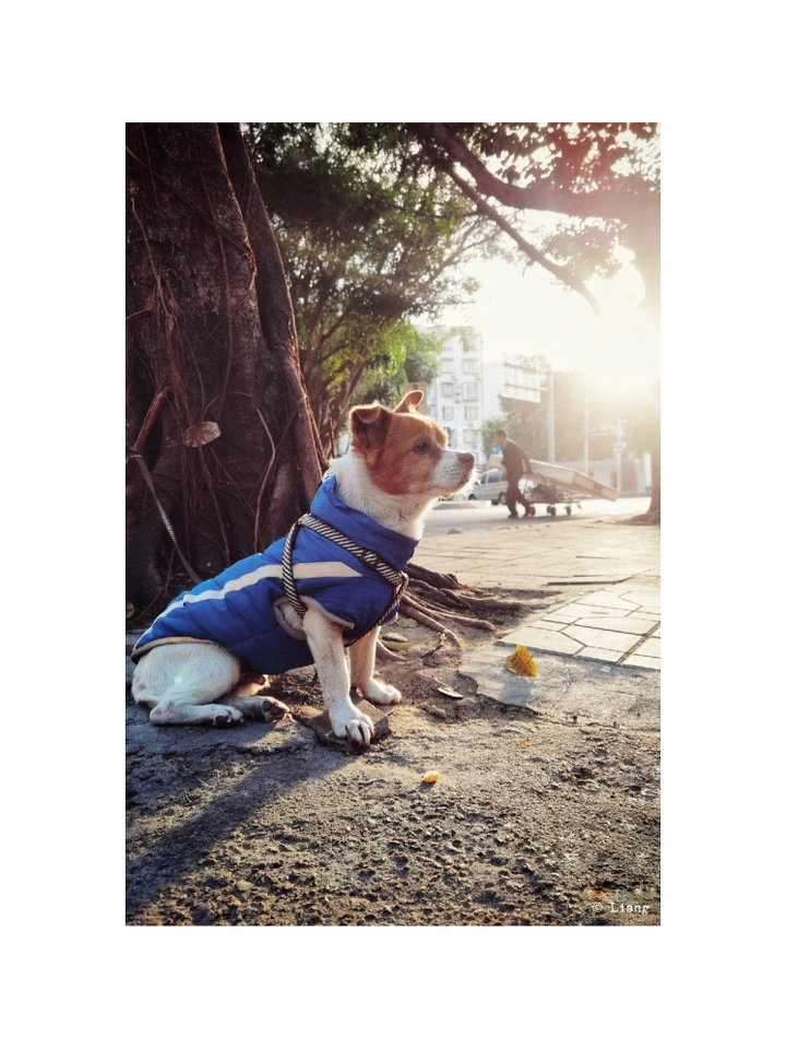 上班路上