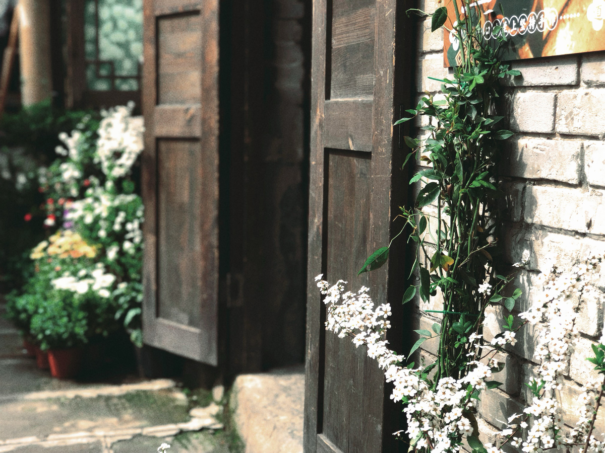 一个带有白色花朵的小花瓶摆在老建筑的门外 有木门。