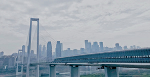 非常长的桥跨过大城市