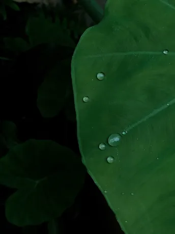 夏日一角