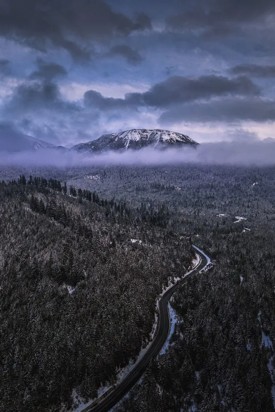 一片白雪皑皑的风景 一条道路穿越森林