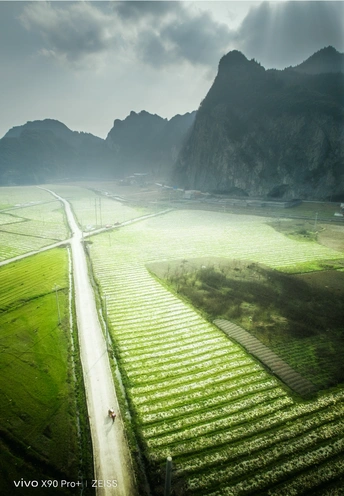 绿野和山峦的景观