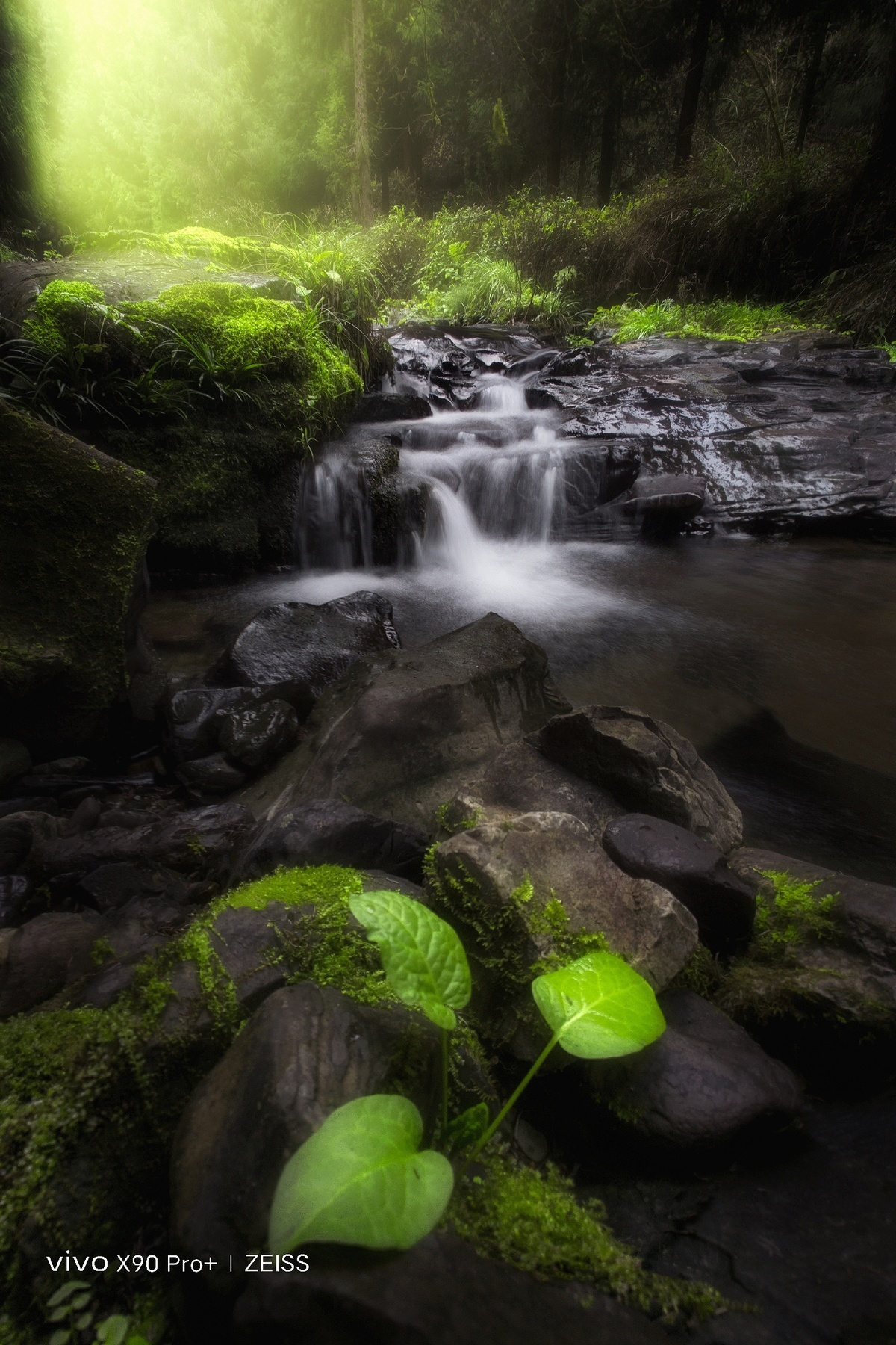 森林中的一小瀑布 岩石上有绿植 流水潺潺