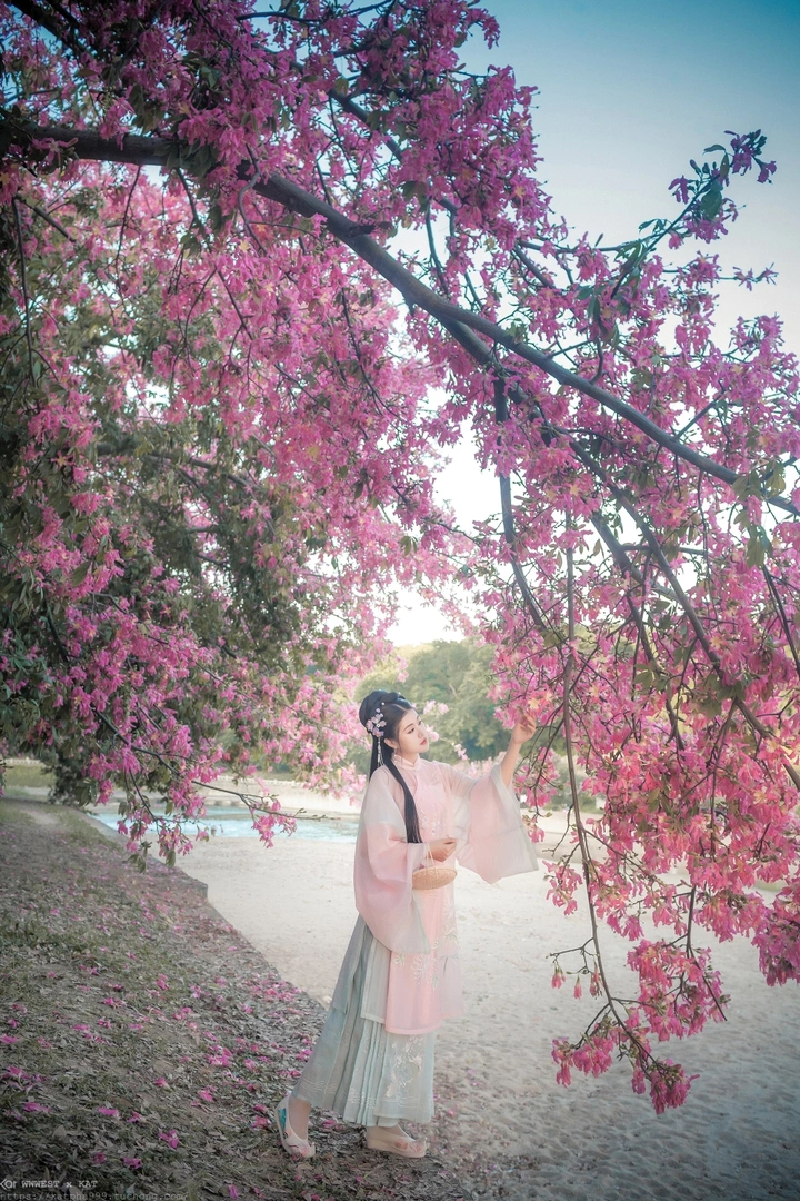 小庭花