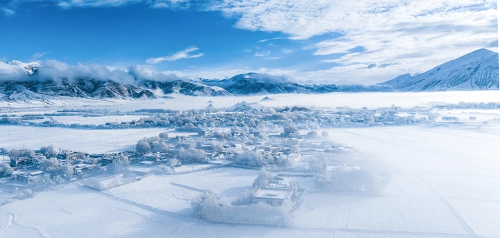 雪域家园