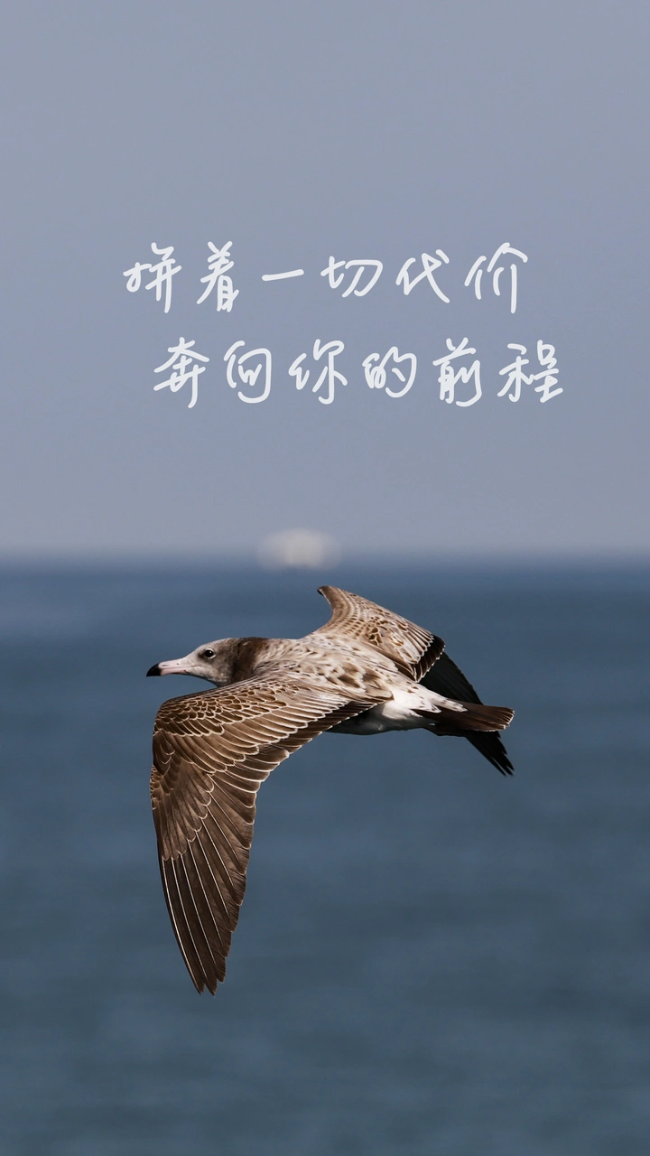 拼着一切代价，奔向你的前程