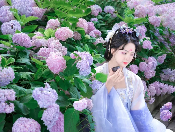 醉花叹