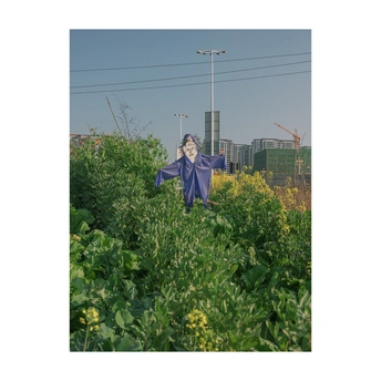一个人在田野中的雕像