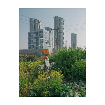 城市花园的照片 背景中有建筑