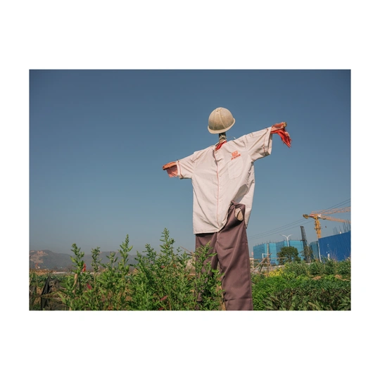 一个穿着白衬衫的男子站在田野中 伸展双臂。