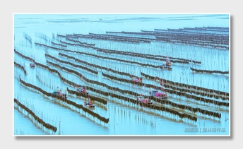 雨中撑着伞的船 canvas print