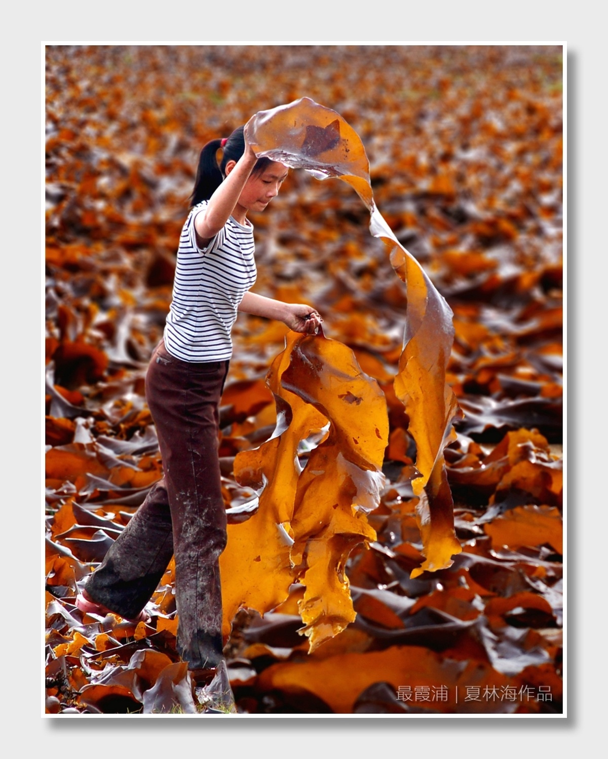 一个小男孩或小女孩在秋天的落叶地里拿着一片叶子