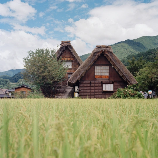 一片绿草地的传统房屋