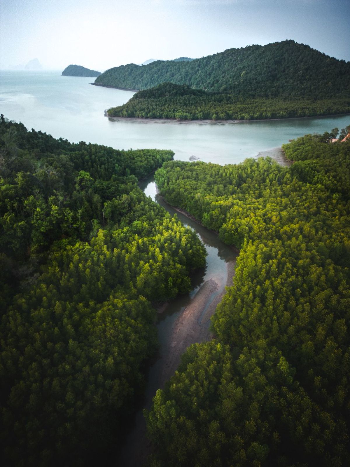 湖泊被绿色森林环绕的 aerial view