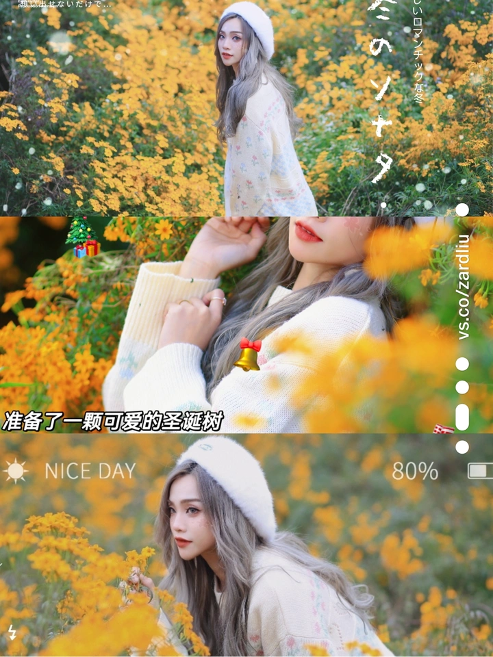 十二月末的花海