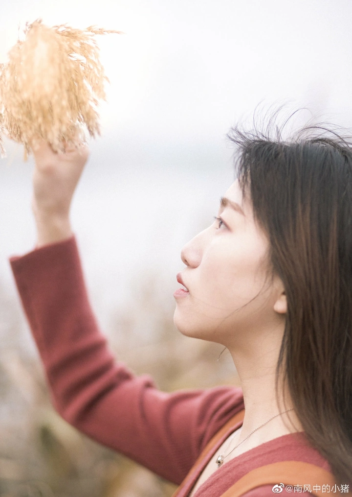 芦苇