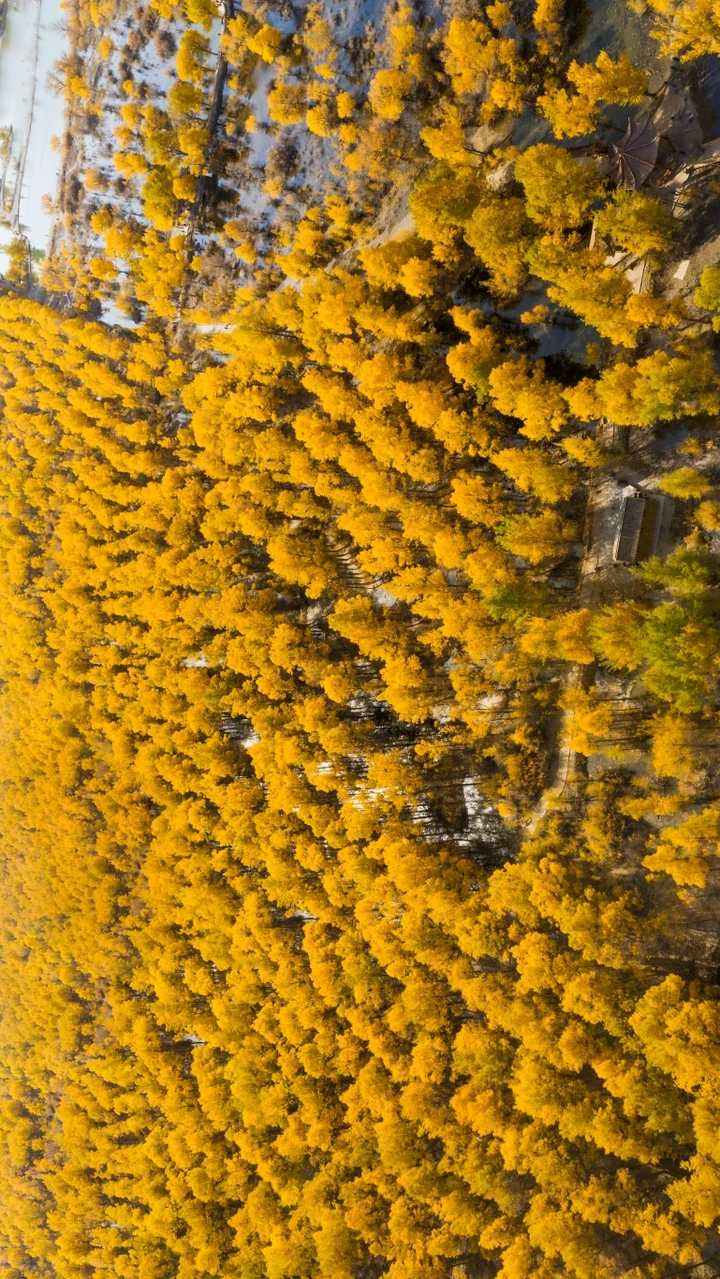 心静