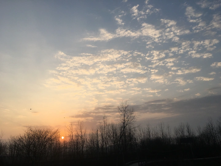 清晨，早安