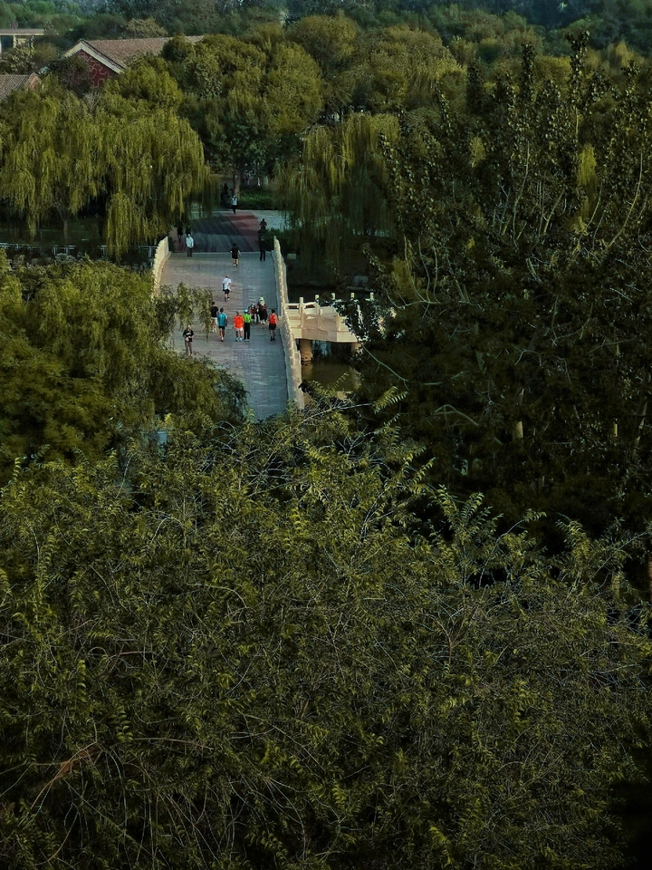 共享绿色家园