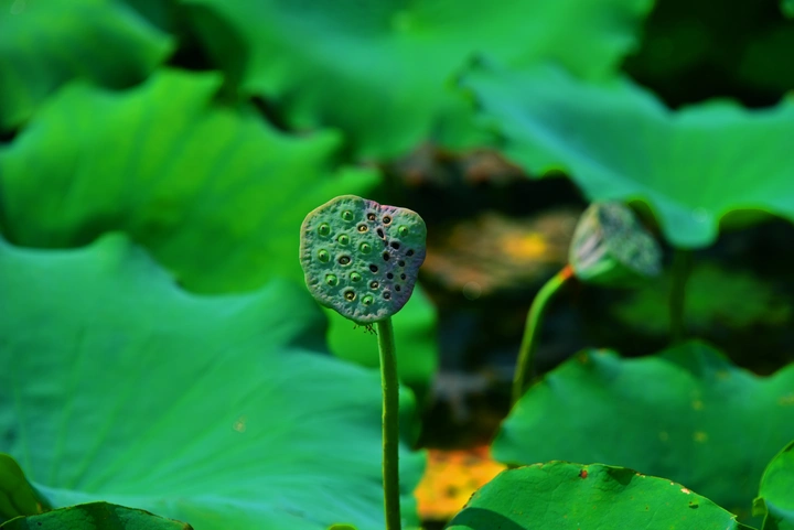 等你长成想要的样子