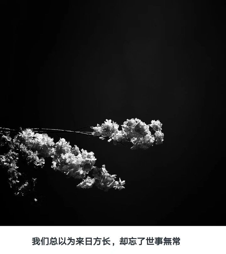 悟