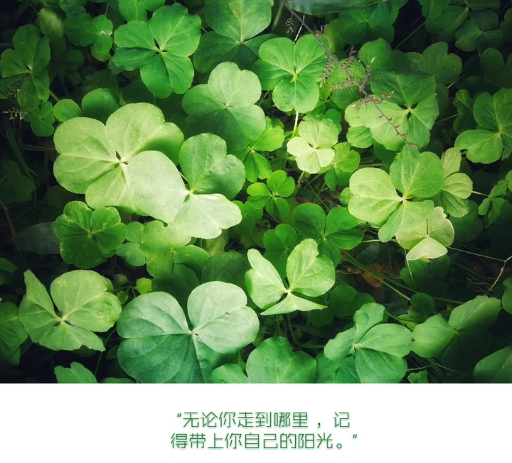 悟