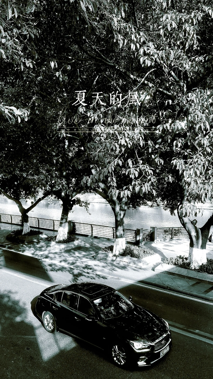 早安 夏天🌳