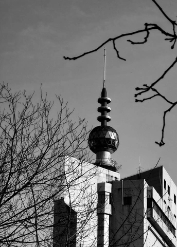 一栋带有塔顶的大楼旁边有一树枝