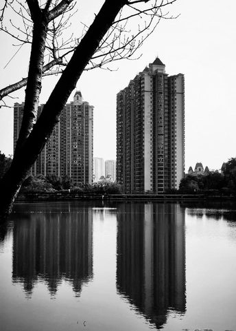 一个黑白相间的城市 前景有高楼和树木 还有水。