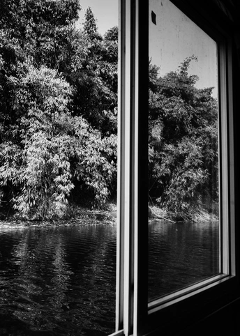 河的黑白风景 有水和树木。