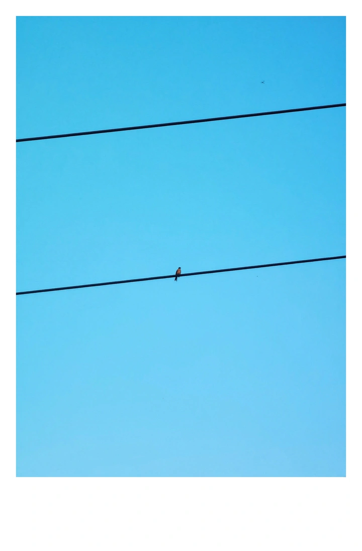 简