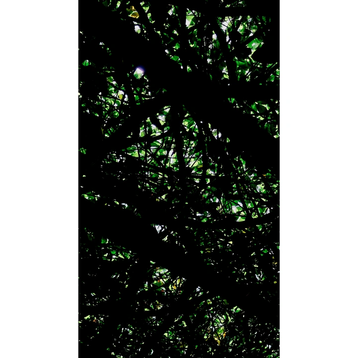 夏 .日记
