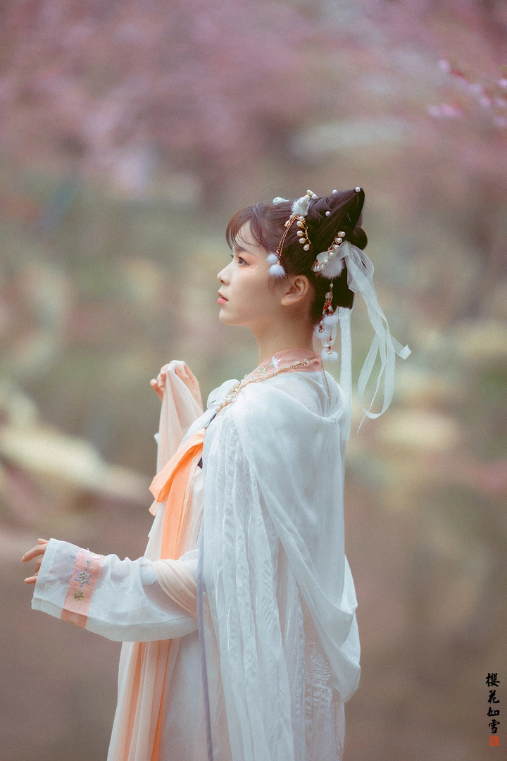 樱花如雪