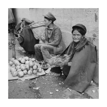 黑白照片 一位老妇人在街上售卖蔬菜 旁边有一只猫